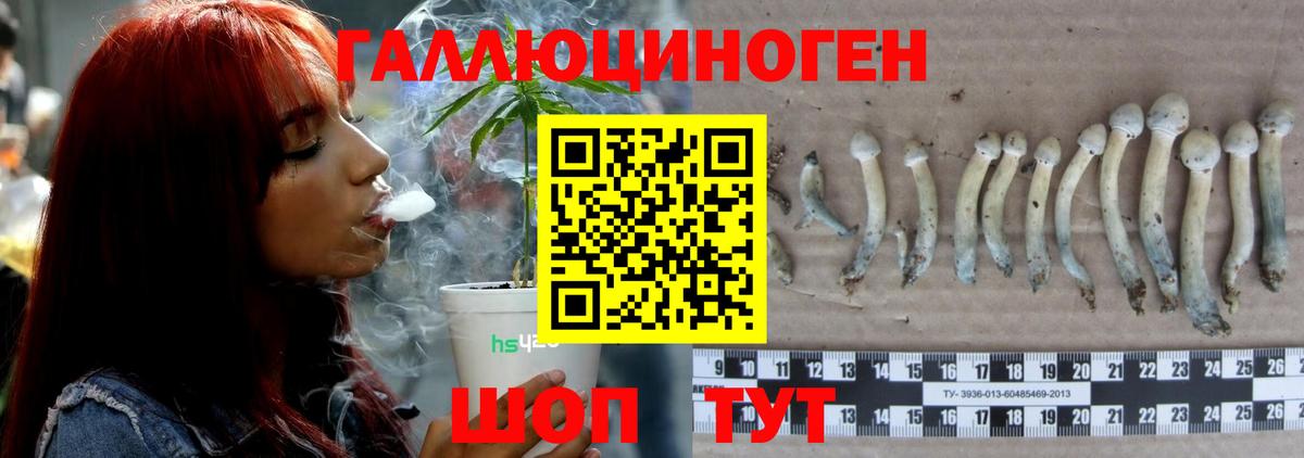 Галлюциногенные грибы мицелий  Вход с VPN  что такое   Янаул 